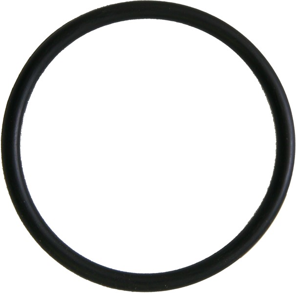 Termostat O-ring