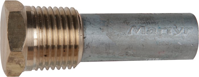 Anode
