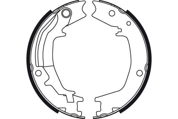 Bromsbackar, sats, parkeringsbroms, Bakaxel Trw GS8489 TRW