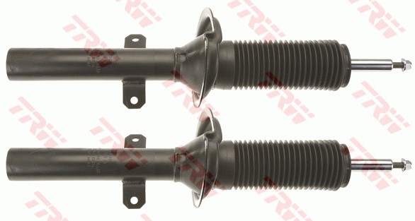 Stötdämpare Gastryck, Framaxel Trw Trw twin JGM1066T TRW