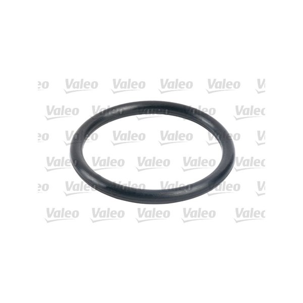 Bränslefilter Valeo 587716 VALEO Bränslefilter Valeo 587716 VALEO