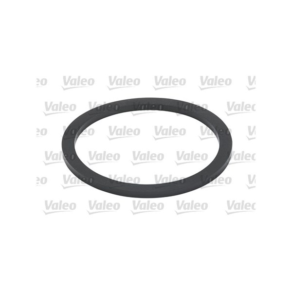 Bränslefilter Valeo 587916 VALEO Bränslefilter Valeo 587916 VALEO
