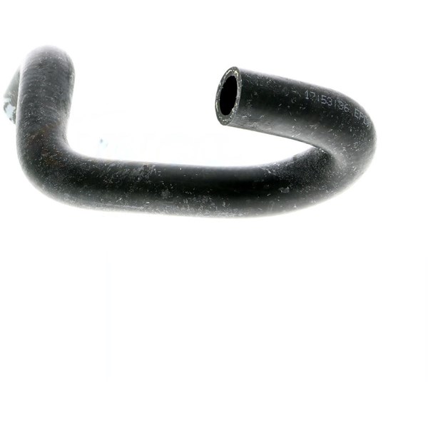 Kylarslang