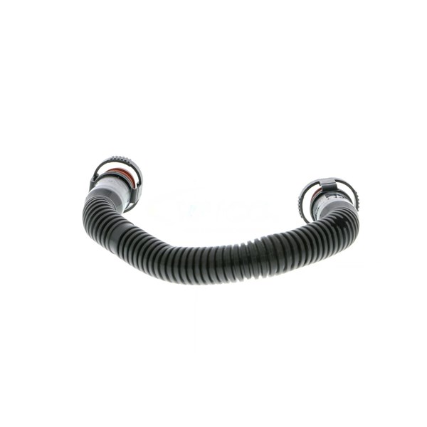 Slang, vevhusventilation