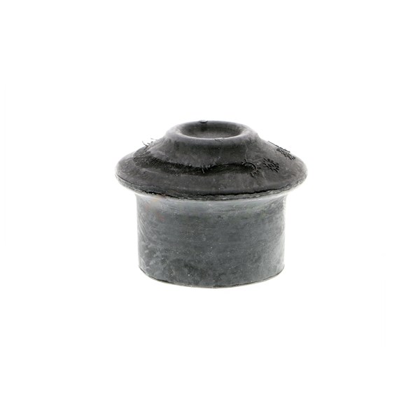 Gummibussing, motorupphängning, Fram Gummibussing, motorupphängning, Fram