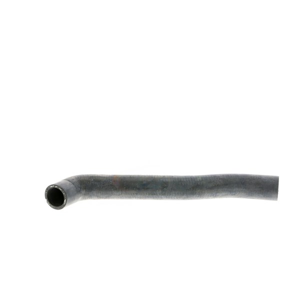 Kylarslang