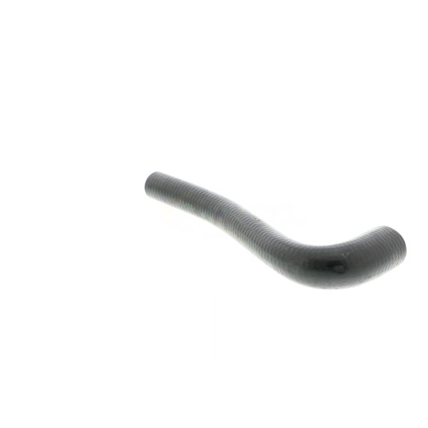 Kylarslang
