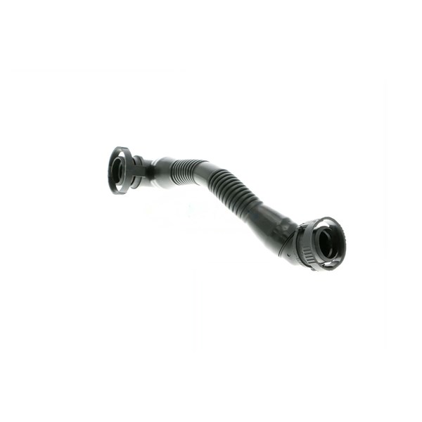 Slang, vevhusventilation