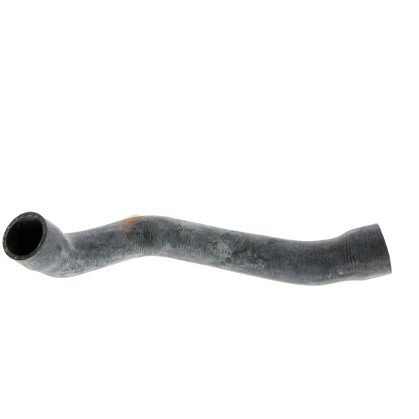 Kylarslang