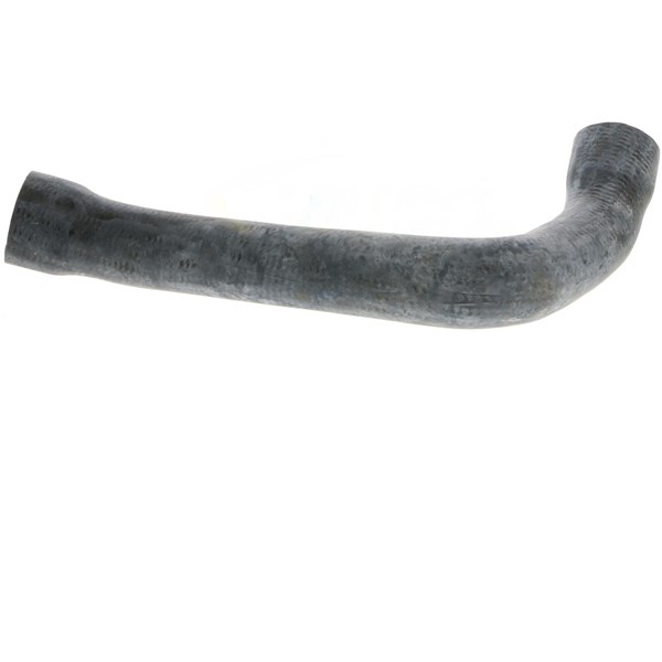 Kylarslang Kylarslang