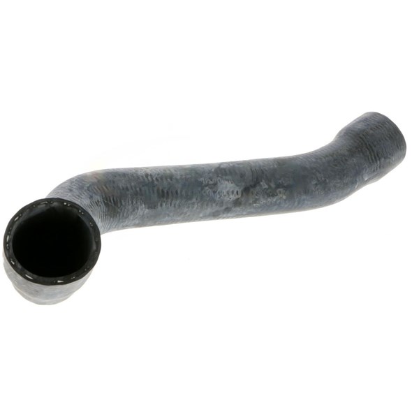 Kylarslang