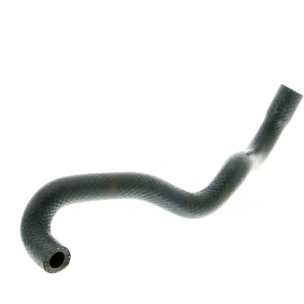 Kylarslang