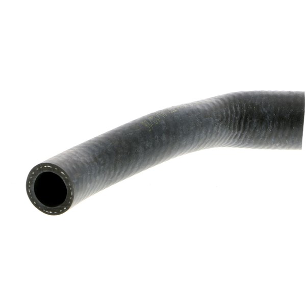 Kylarslang, Vänster