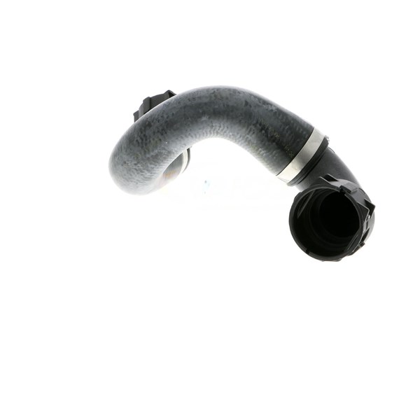 Kylarslang