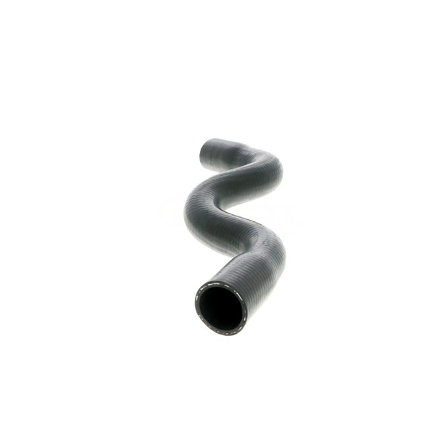 Kylarslang