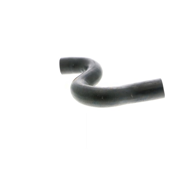 Kylarslang
