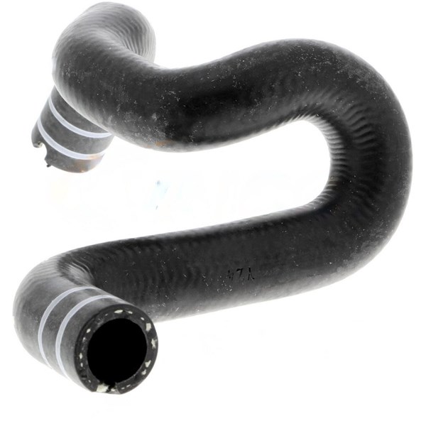 Kylarslang