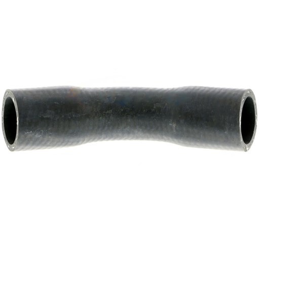 Kylarslang
