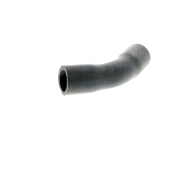 Kylarslang