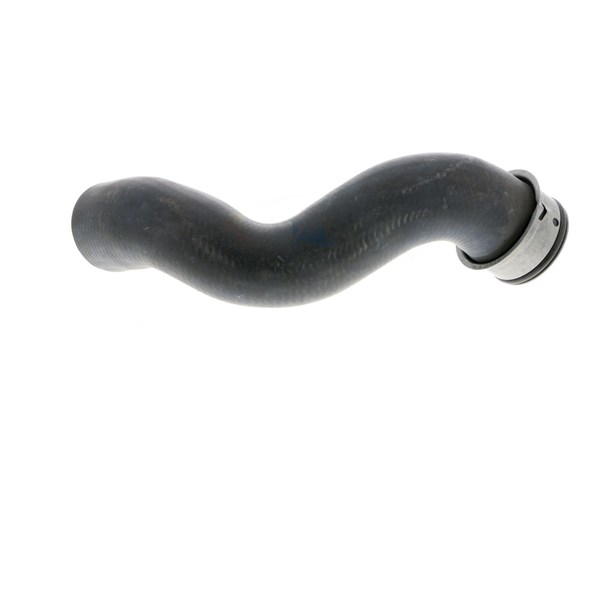 Kylarslang
