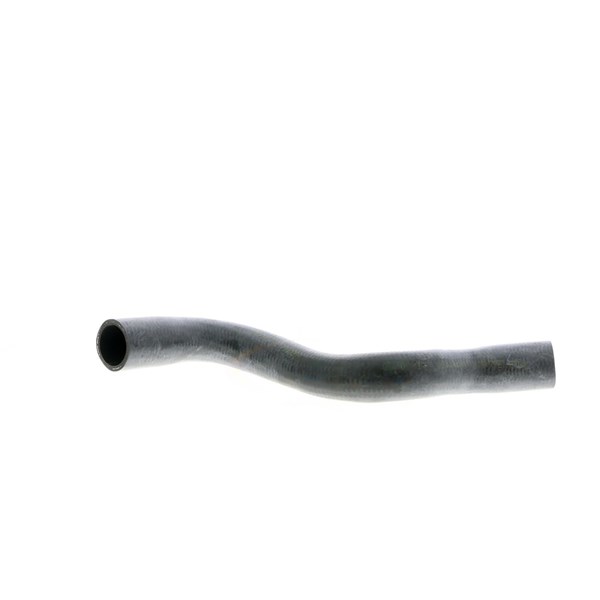 Kylarslang