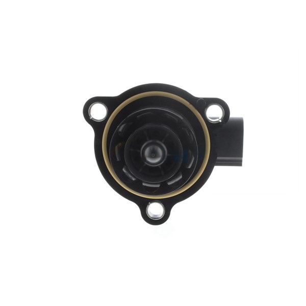 Wastegate 12V