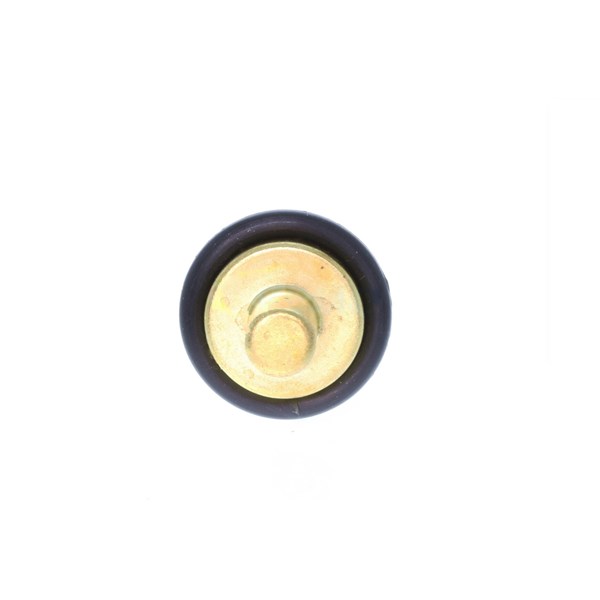Sensor, kylvätsketemperatur