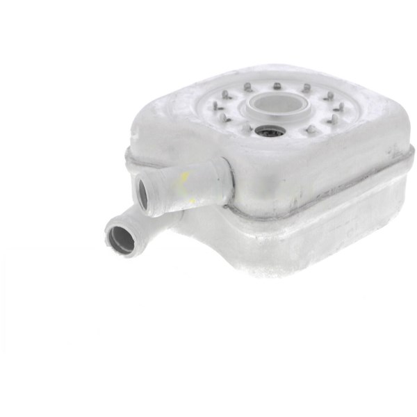 Oljekylare, motor