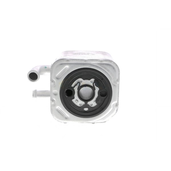 Oljekylare, motor