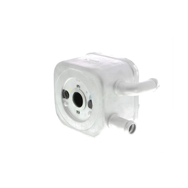 Oljekylare, motor