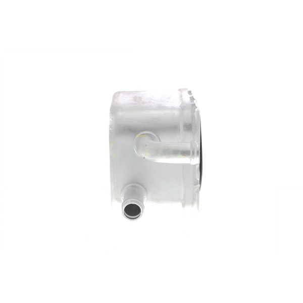 Oljekylare, motor