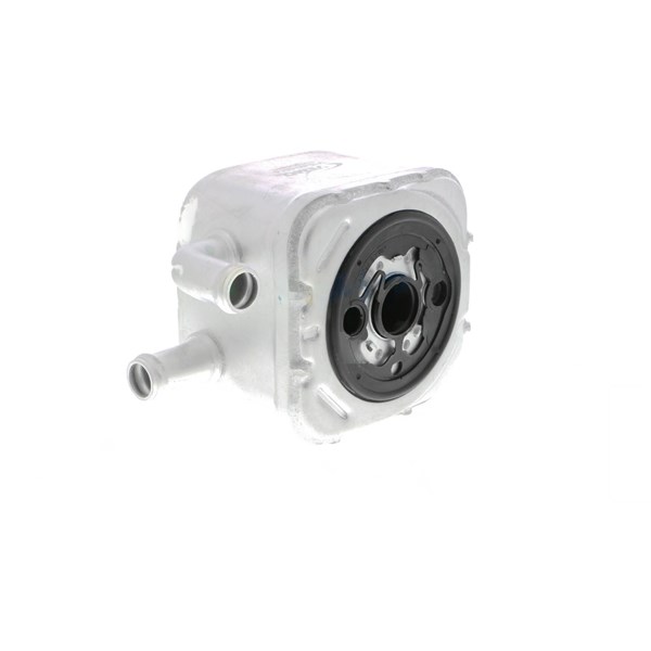 Oljekylare, motor