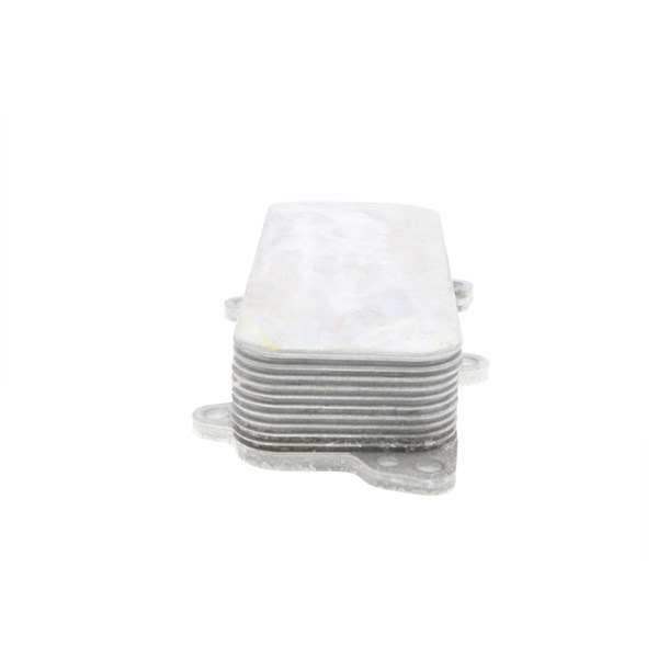 Oljekylare, motor