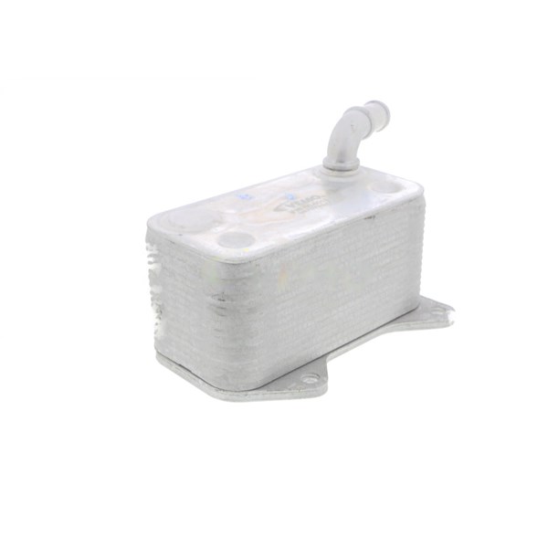 Oljekylare, motor