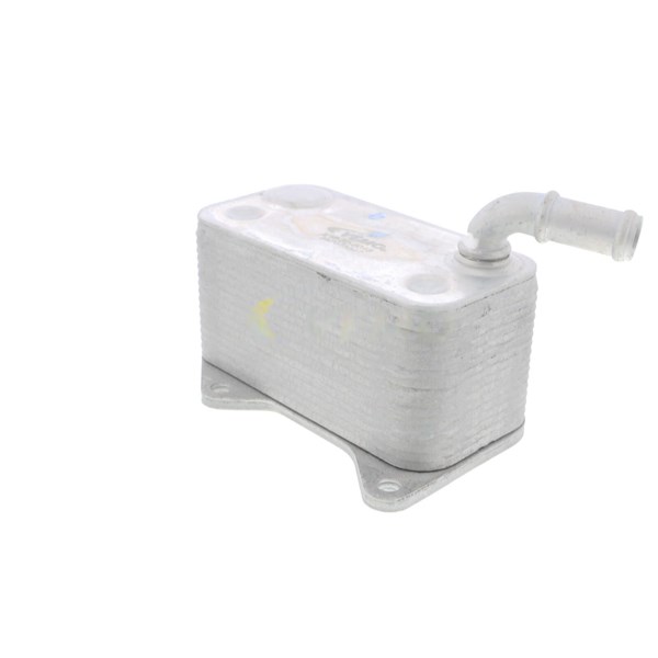 Oljekylare, motor