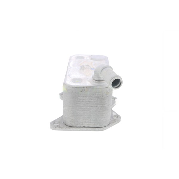 Oljekylare, motor