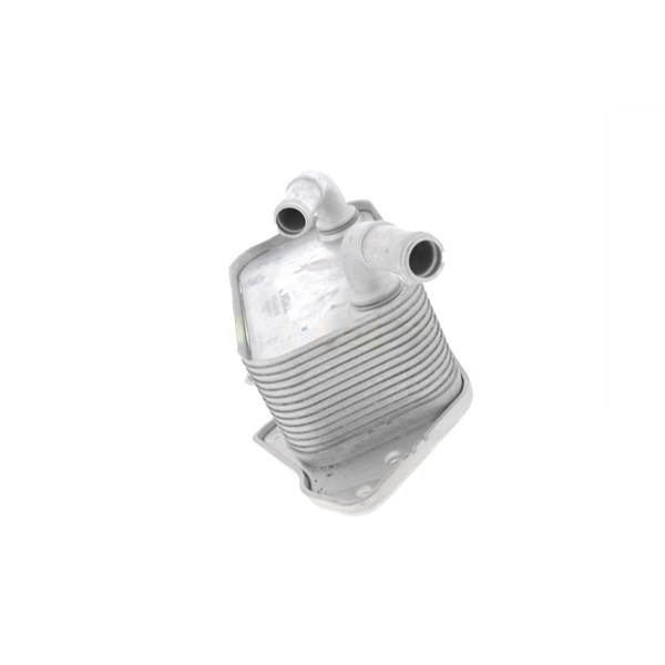 Oljekylare, motor