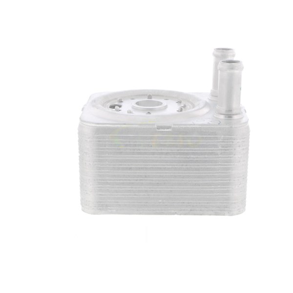 Oljekylare, motor
