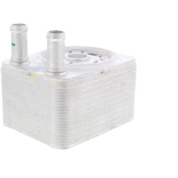 Oljekylare, motor