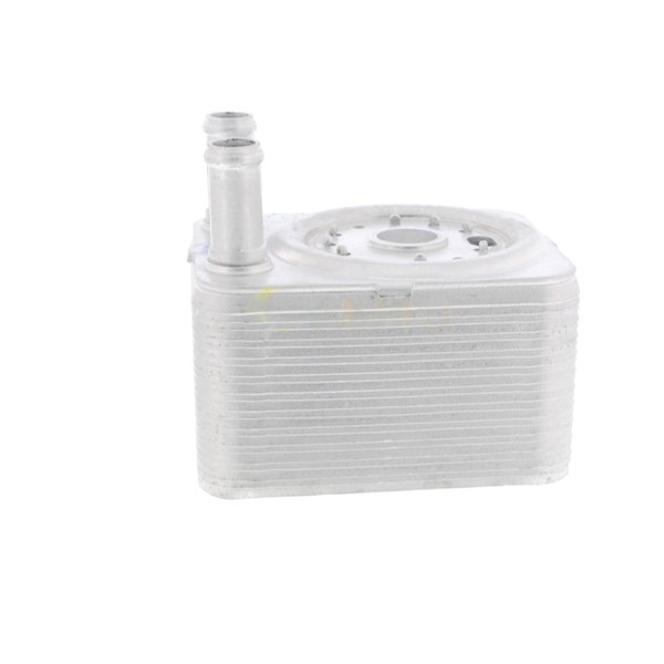 Oljekylare, motor