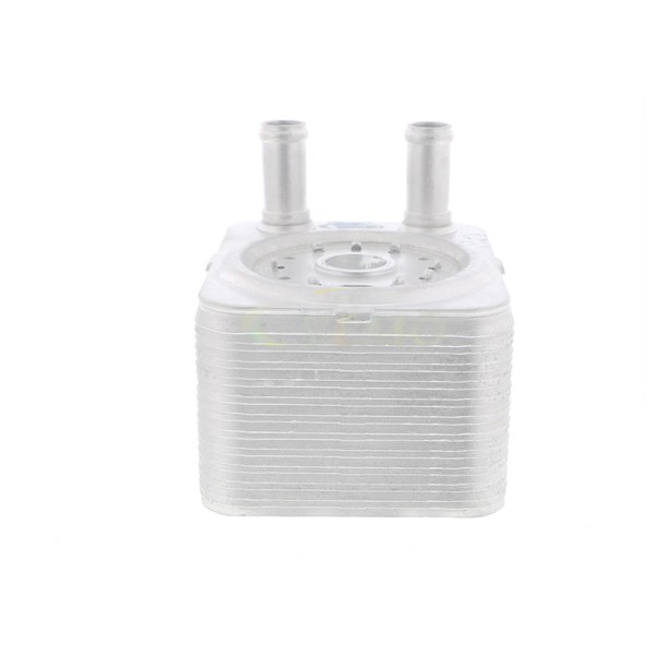Oljekylare, motor