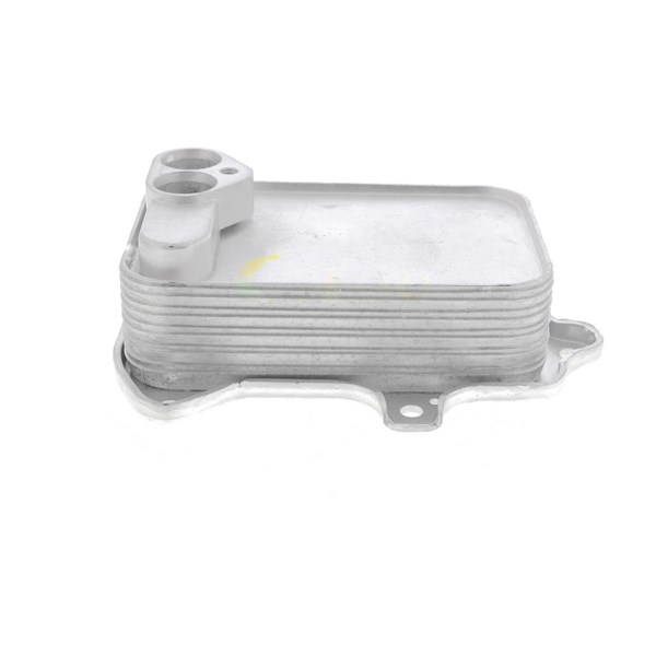 Oljekylare, motor