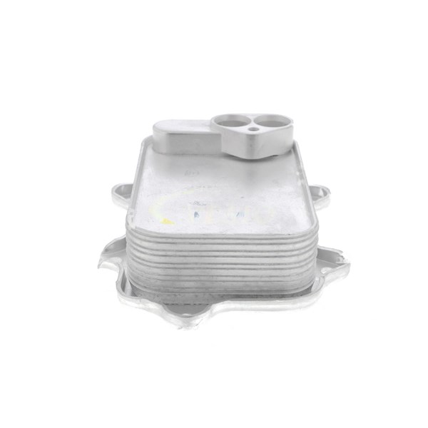 Oljekylare, motor