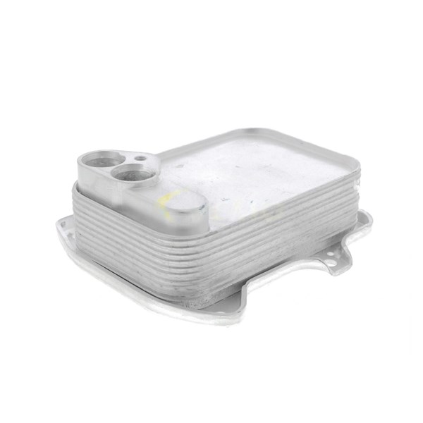 Oljekylare, motor
