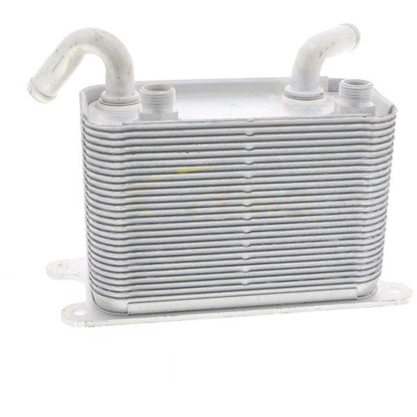 Oljekylare, motor