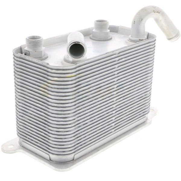 Oljekylare, motor