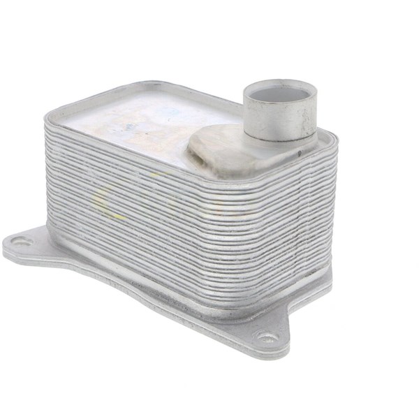 Oljekylare, motor