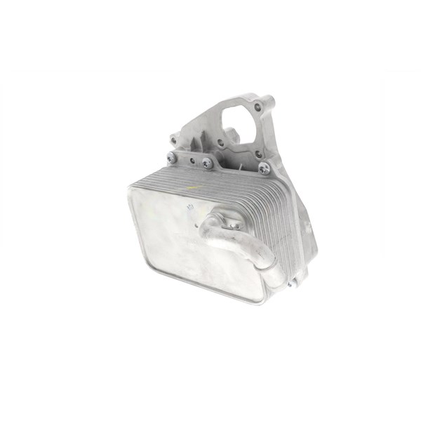 Oljekylare, motor