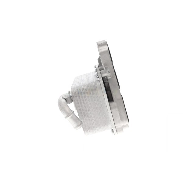 Oljekylare, motor