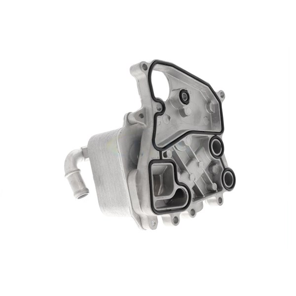 Oljekylare, motor